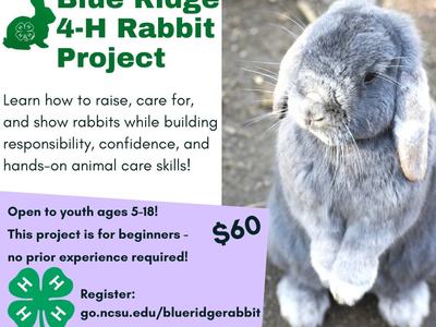 Blue Ridge 4-H Rabbit Project