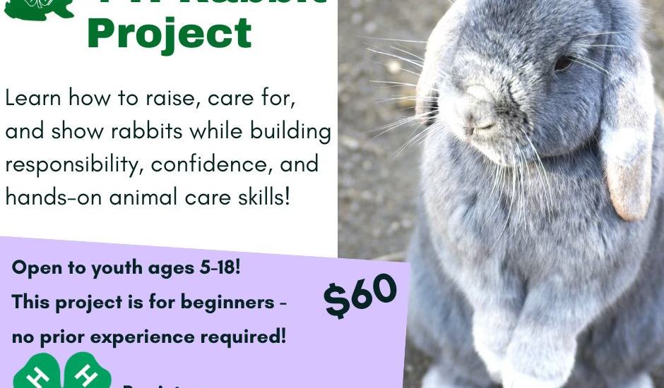 Blue Ridge 4-H Rabbit Project - Henderson County Center | N.C ...