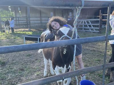 girl and cow