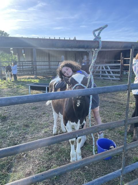 girl and cow