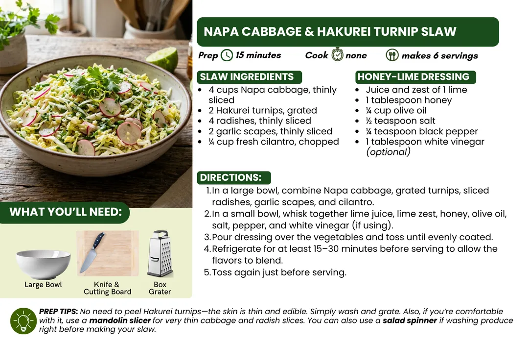 Recipe card for Napa Cabbage & Hakurei Turnip Slaw featuring a photo of a fresh slaw made with napa cabbage, hakurei turnips, radishes, cilantro, and garlic scapes, along with ingredients, honey-lime dressing recipe, step-by-step directions, prep time, se