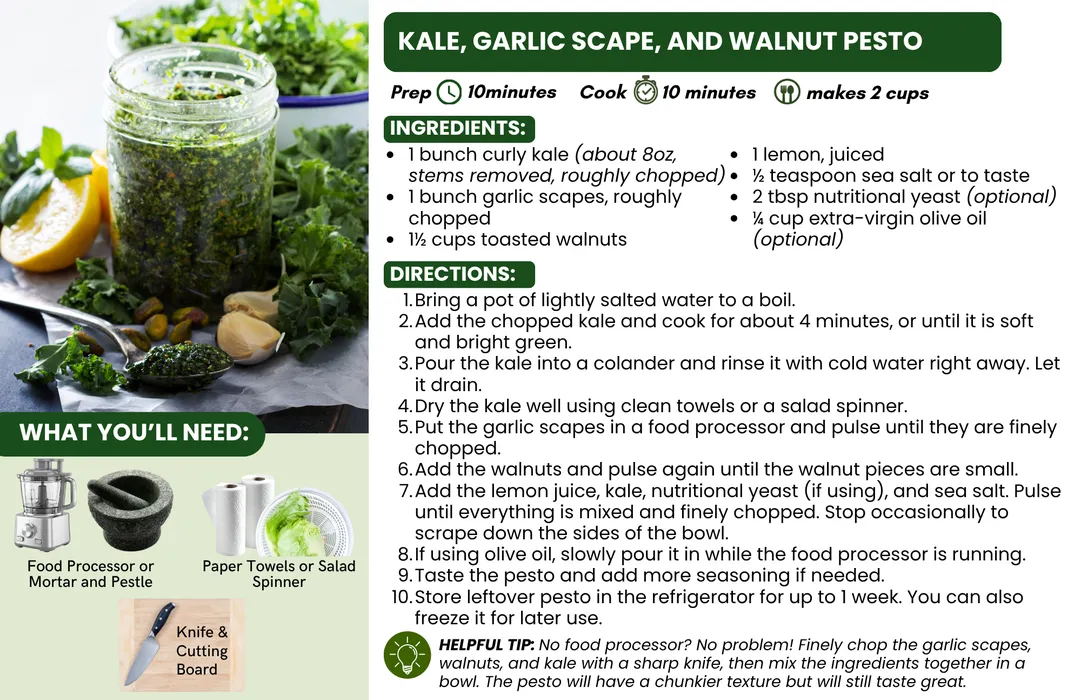 Garlic Scape Pesto recipe card showing ingredients, instructions, and tips for turning seasonal garlic scapes into a versatile pesto for pasta, sandwiches, vegetables, and more.