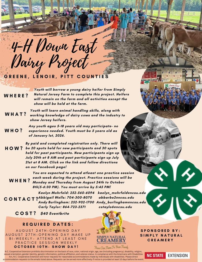 Dairy Project Flyer Information