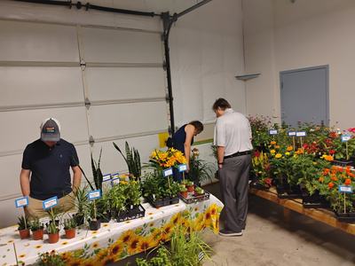 Customers shopping plants at the market