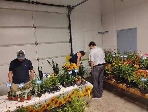 Customers shopping plants at the market