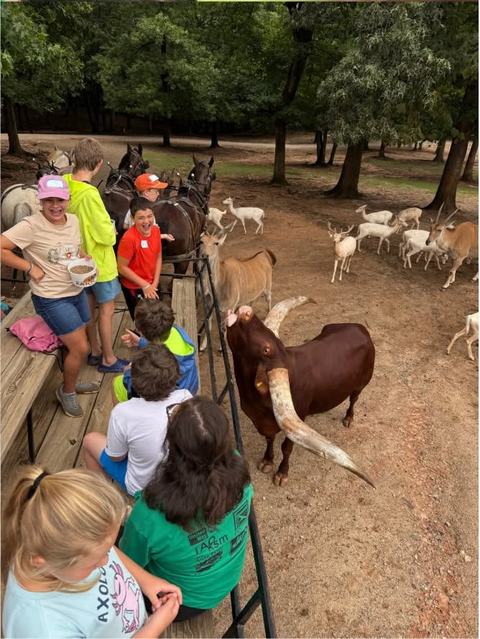 Davie 4-H participants visiting Lazy 5 Ranch