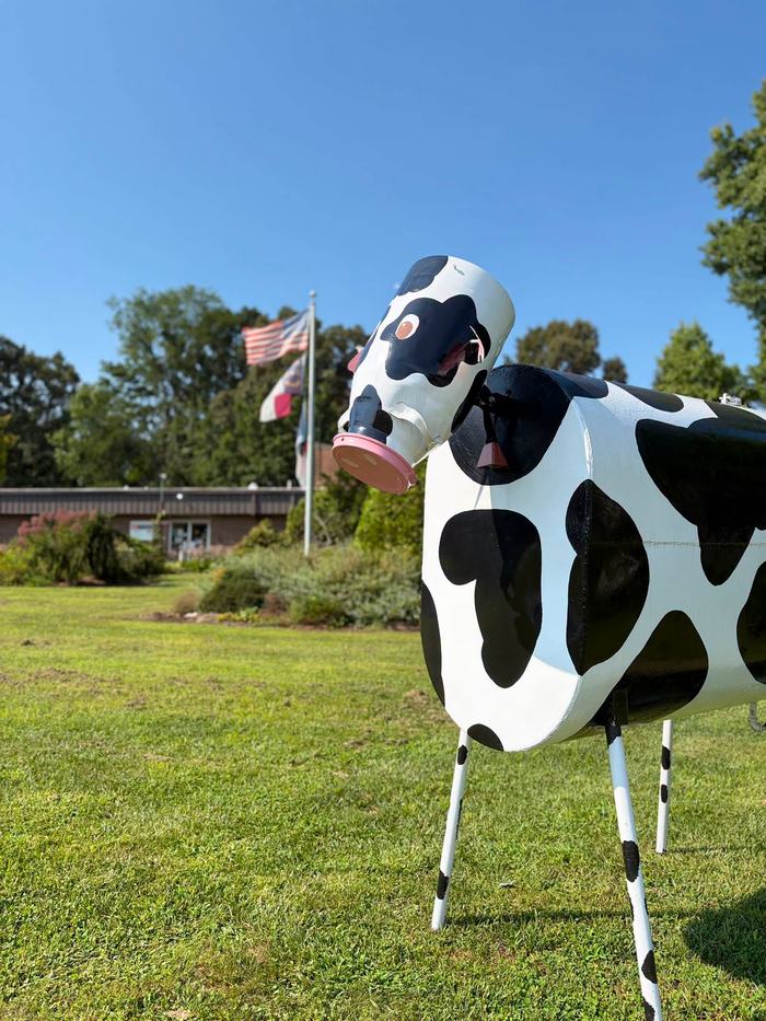 A black-and-white painted metal cow sculpture stands on a grassy lawn with flags in the background.