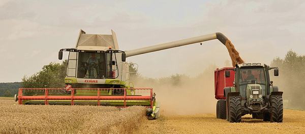 The wheat harvest near Eldagsen in Germany. The combine Claas Lexion 584 06833 mows, threshes, shreddes the chaff and blows it across the field. In the meantime he loads the threshed wheat at full speed on a trailer.