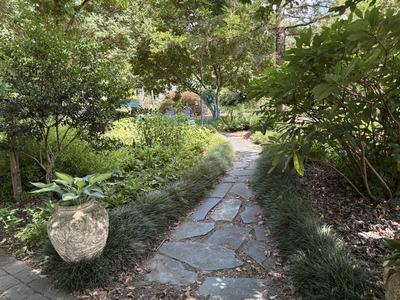walkway made of pavers surrounded on either side by various perennial plants