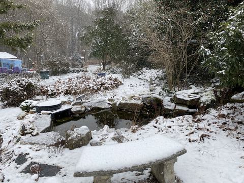 snow covered bench and goldfish pond