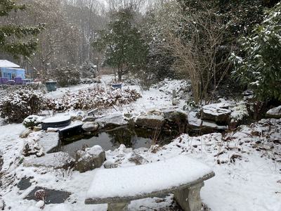 snow covered bench and goldfish pond