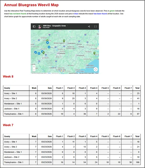 Screenshot of ABW Weekly Trapping Map on NC Turf Bugs website. Showing a map of the locations of weekly trapping at the top and two weeks of data collected in chart format.