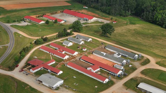 Aerial photo of farm buildings