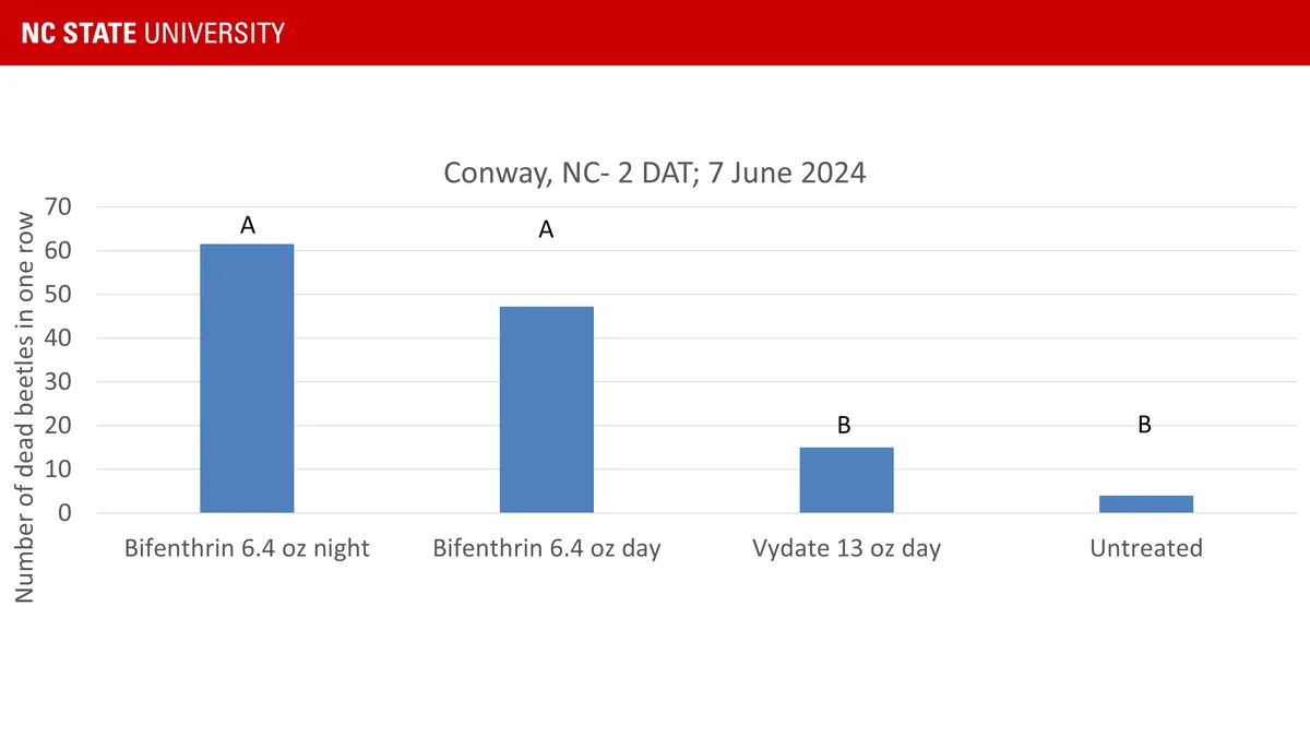 Bifenthrin 6.4 oz sprayed both in the day and night killed more adult beetles than Vydate 13 oz or not treating at all. Vydate at 13 oz was the same as doing nothing at all