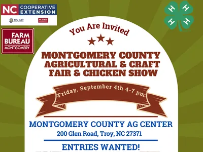 ag fair flyer
