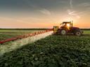 Tractor spraying pesticides on vegetable field with sprayer at spring