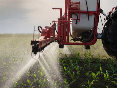 Sprayer attached to a tractor emitting liquid on corn