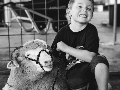 Black-and-white photo of a grinning young boy crouched beside a halter-wearing sheep in a barn, holding its lead.
