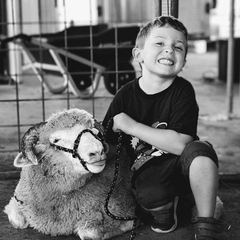 Black-and-white photo of a grinning young boy crouched beside a halter-wearing sheep in a barn, holding its lead.