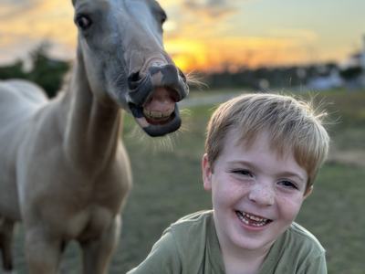 A laughing young boy in a green shirt stands in a grassy field at sunset while a light-colored foal beside him pulls a goofy face, both full of playful joy.
