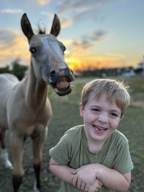 A laughing young boy in a green shirt stands in a grassy field at sunset while a light-colored foal beside him pulls a goofy face, both full of playful joy.