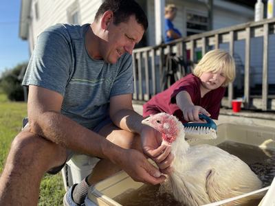 A man gently holds a white turkey in a shallow tub while a blond child brushes its feathers outdoors on a sunny day, with a porch and railing in the background.