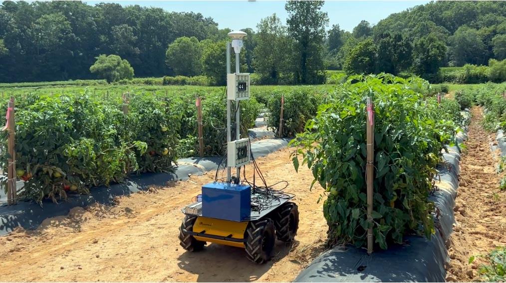A sensor mounted on a robotic vehicle moves been rows of crops