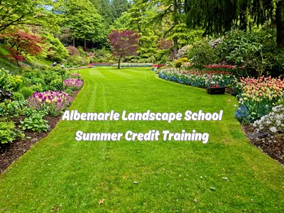 Lawn with landscaping