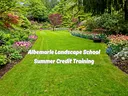 Lawn with landscaping