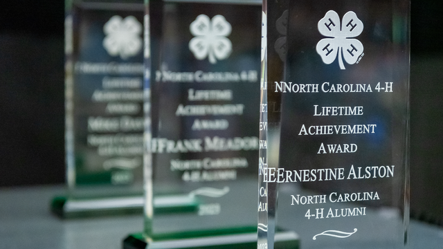 Close-up of three engraved North Carolina 4‑H Lifetime Achievement glass awards lined up at the annual NC 4-H Adult and Alumni Awards.