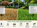 Picture is divided in the middle.  On left side, is a stressed lawn with brown dried grass. Sign in grass has all the problems listed.  On right side, is a healthy lawn with green grass.  Sign in grass lists all the positive things about a healthy lawn