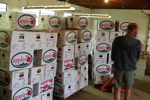 Person with stack of apple boxes