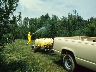Spraying apple trial, c. 1990