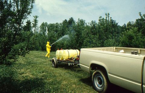 Person in yellow rain suit spraying apple trees with pickup truck and trailer