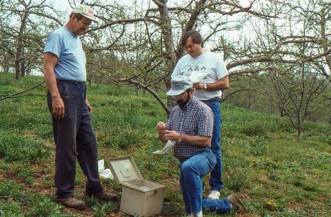 People setting up insect trap in an apple orchard