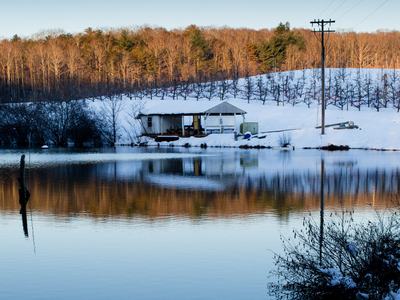 Orchard pond in snow