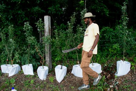 Person walking beside potted apple trees holding machete