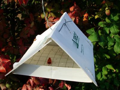 Delta-style insect trap