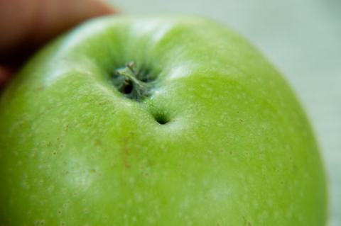 Apple-pest_plant.bug 200714 003