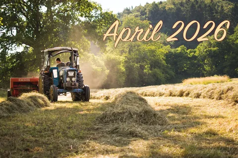 farmer cutting hay with a tractor