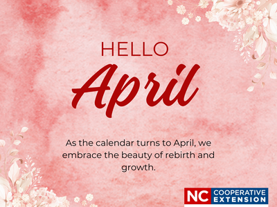 pink April programs announcement image with flowers