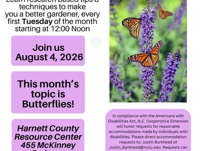 poster for lunch and learn