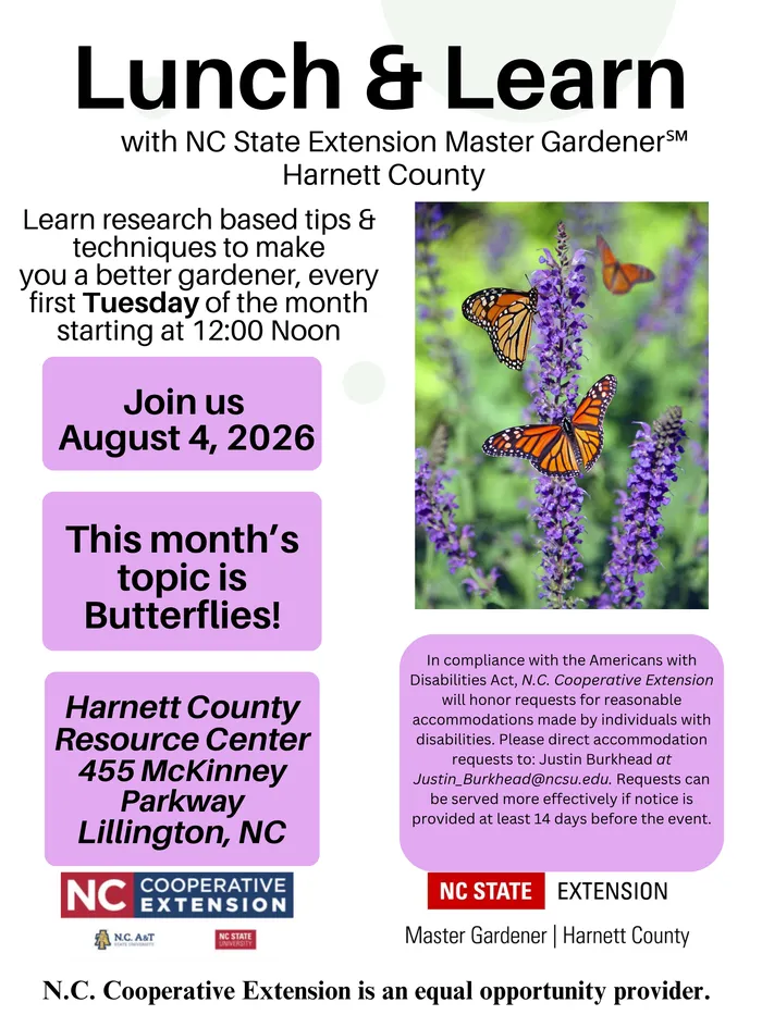 poster for lunch and learn