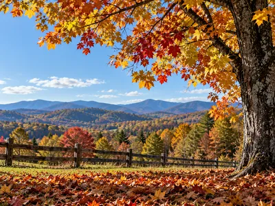 Photo of a field and fence with a mountain background in the fall of the year