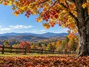 Photo of a field and fence with a mountain background in the fall of the year
