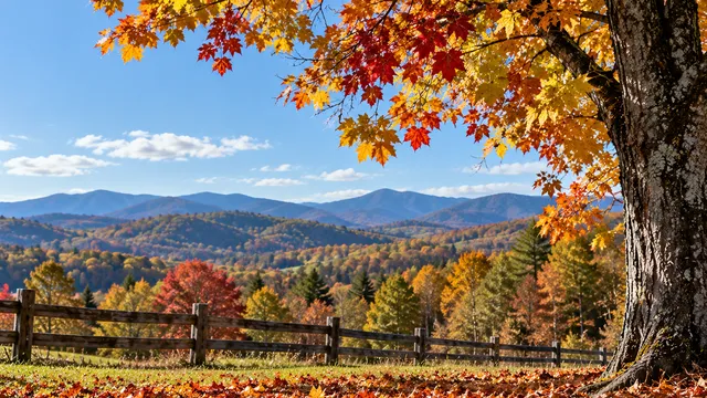 Photo of a field and fence with a mountain background in the fall of the year
