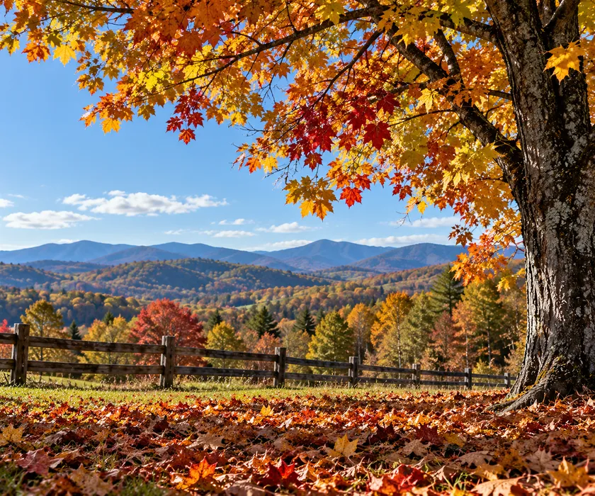 field and fence with a mountain background in the fall of the year