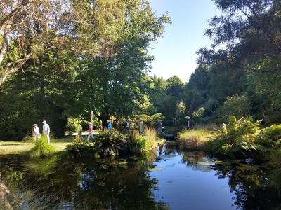 People explore a lush garden.