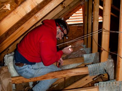 Person in attic looking for stink bugs