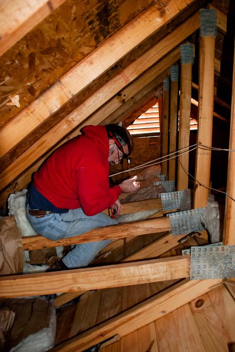 Person crouched in attic looking for stink bugs